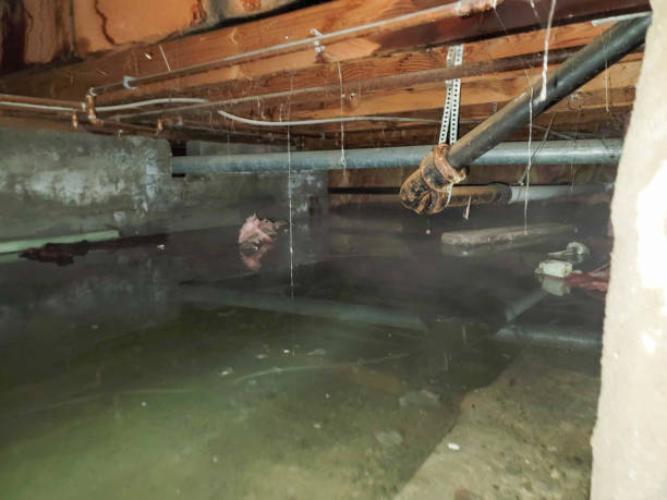Best Emergency water damage restoration  in Hart, TX