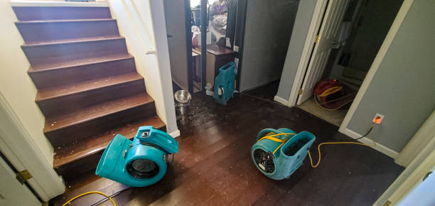 Best Fire Damage Restoration  in Hart, TX