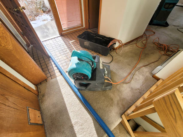 Best Residential water damage restoration  in Hart, TX