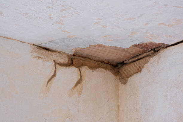 Best Water damage contractors near me  in Hart, TX