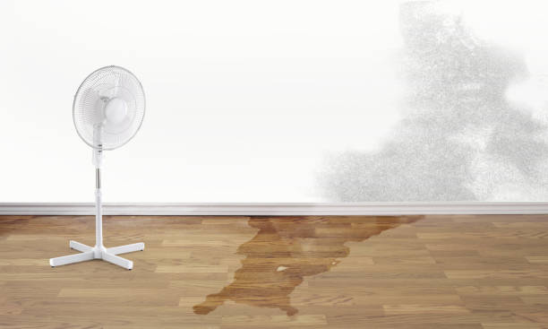 Best 24-hour water damage restoration  in Hart, TX
