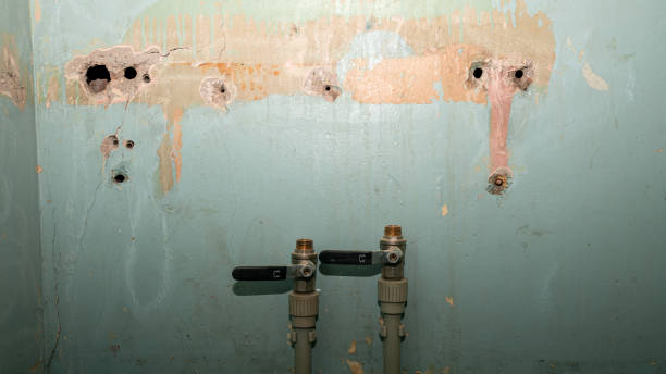  Hart, TX Water damage restoration Pros