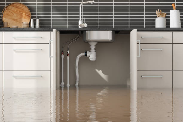 Best Sewage cleanup and water damage restoration  in Hart, TX