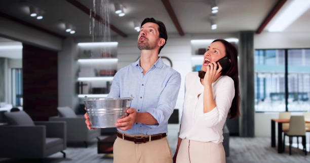 Best Water damage restoration near me  in Hart, TX