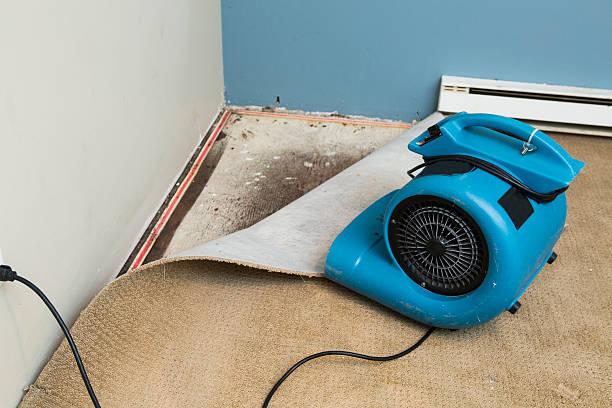 Best Water damage contractors near me  in Hart, TX
